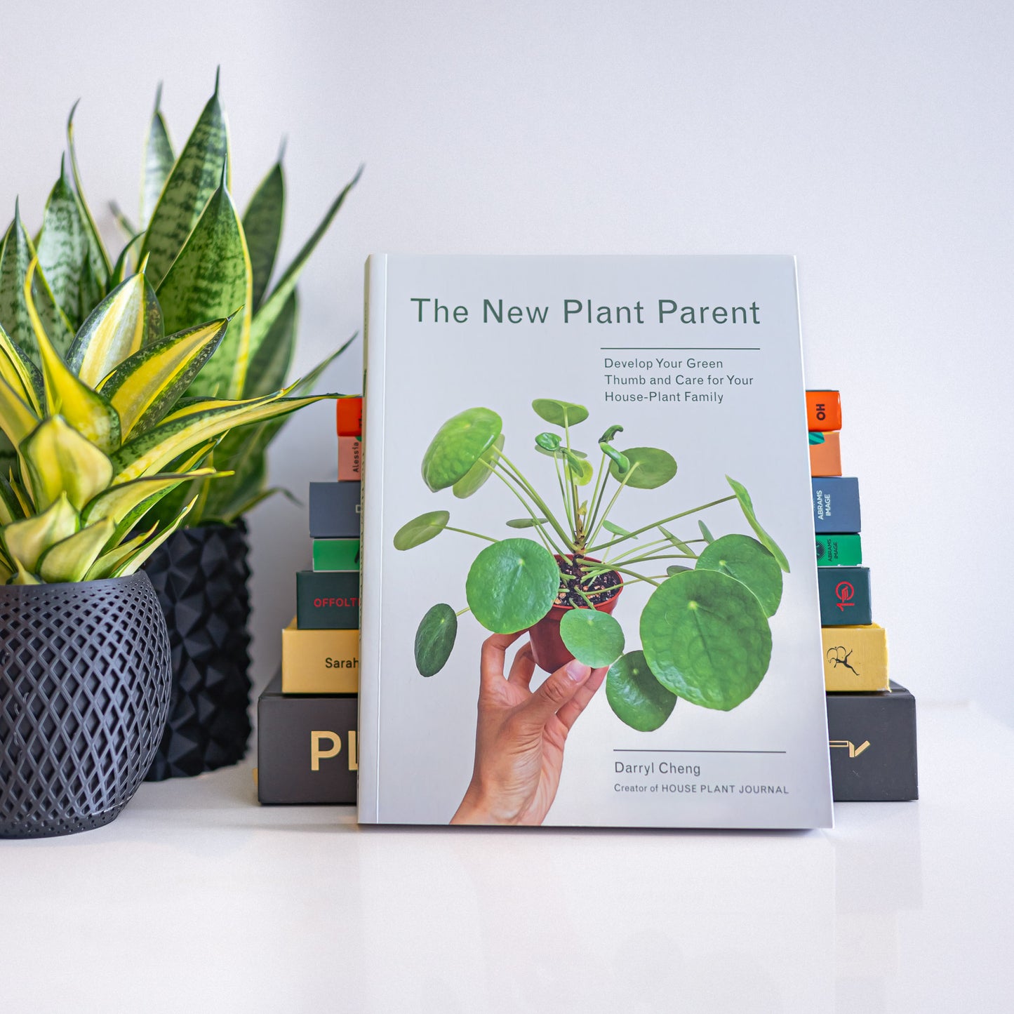 The New Plant Parent | The Plant Boys