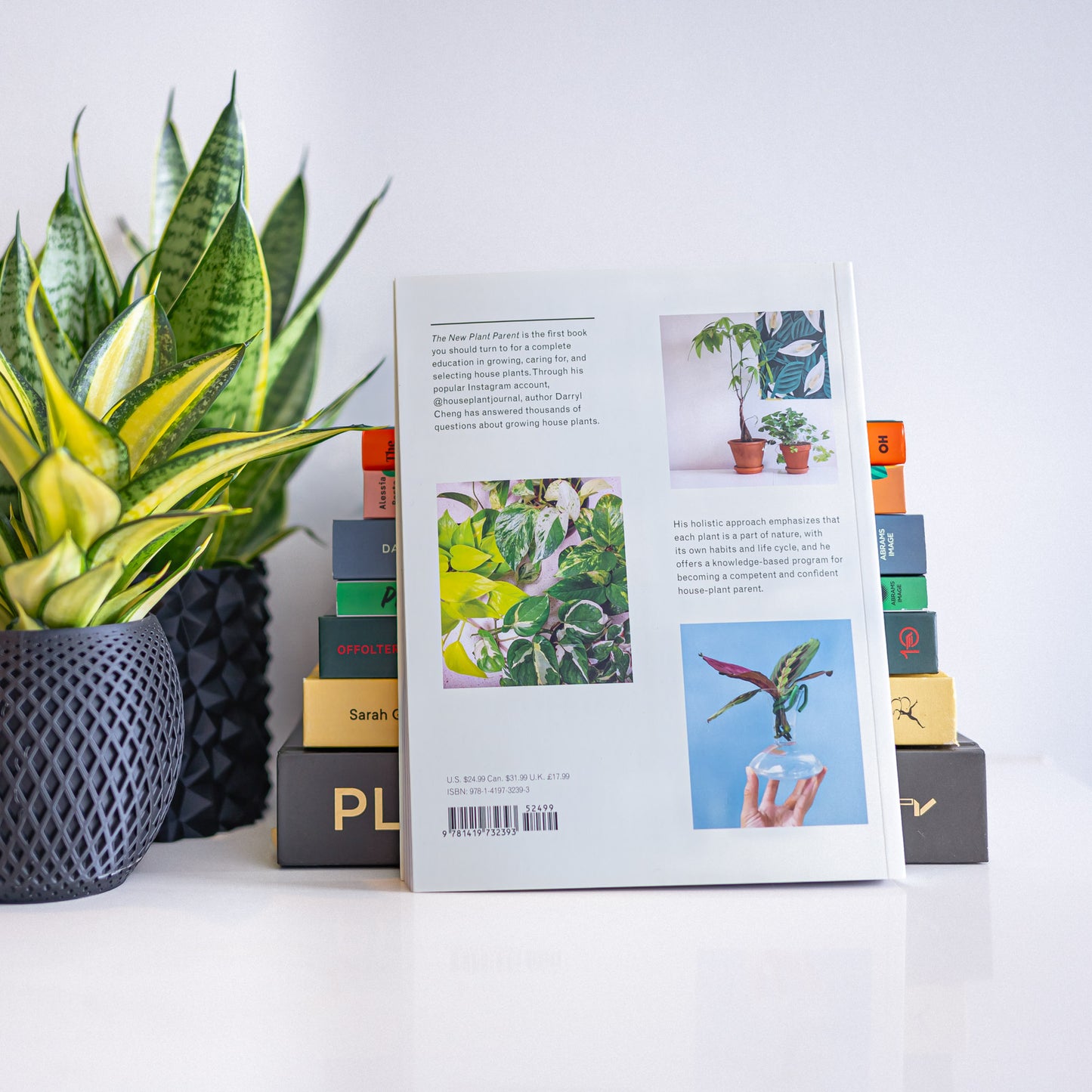 The New Plant Parent | The Plant Boys