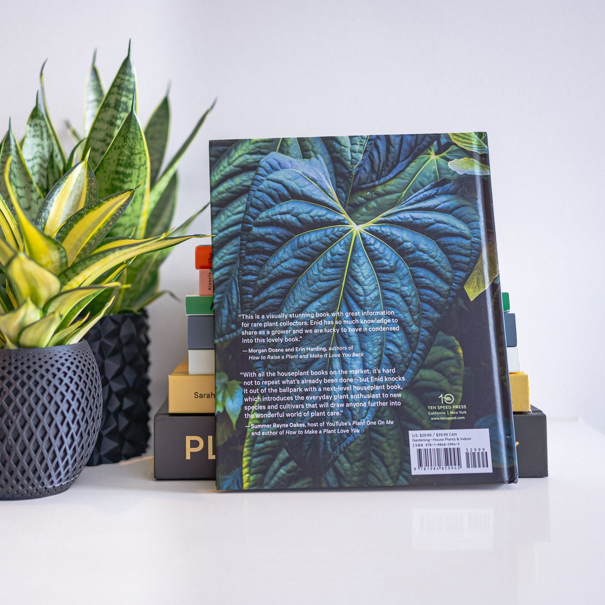 Welcome to the Jungle | The Plant Boys