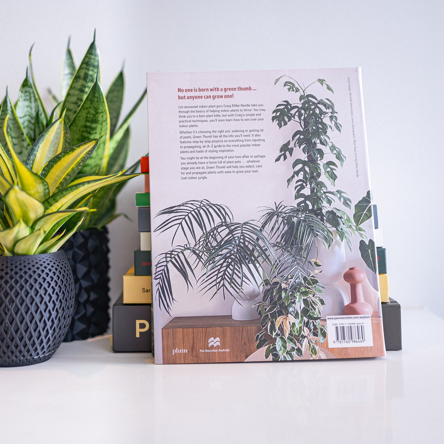 Green Thumb | The Plant Boys