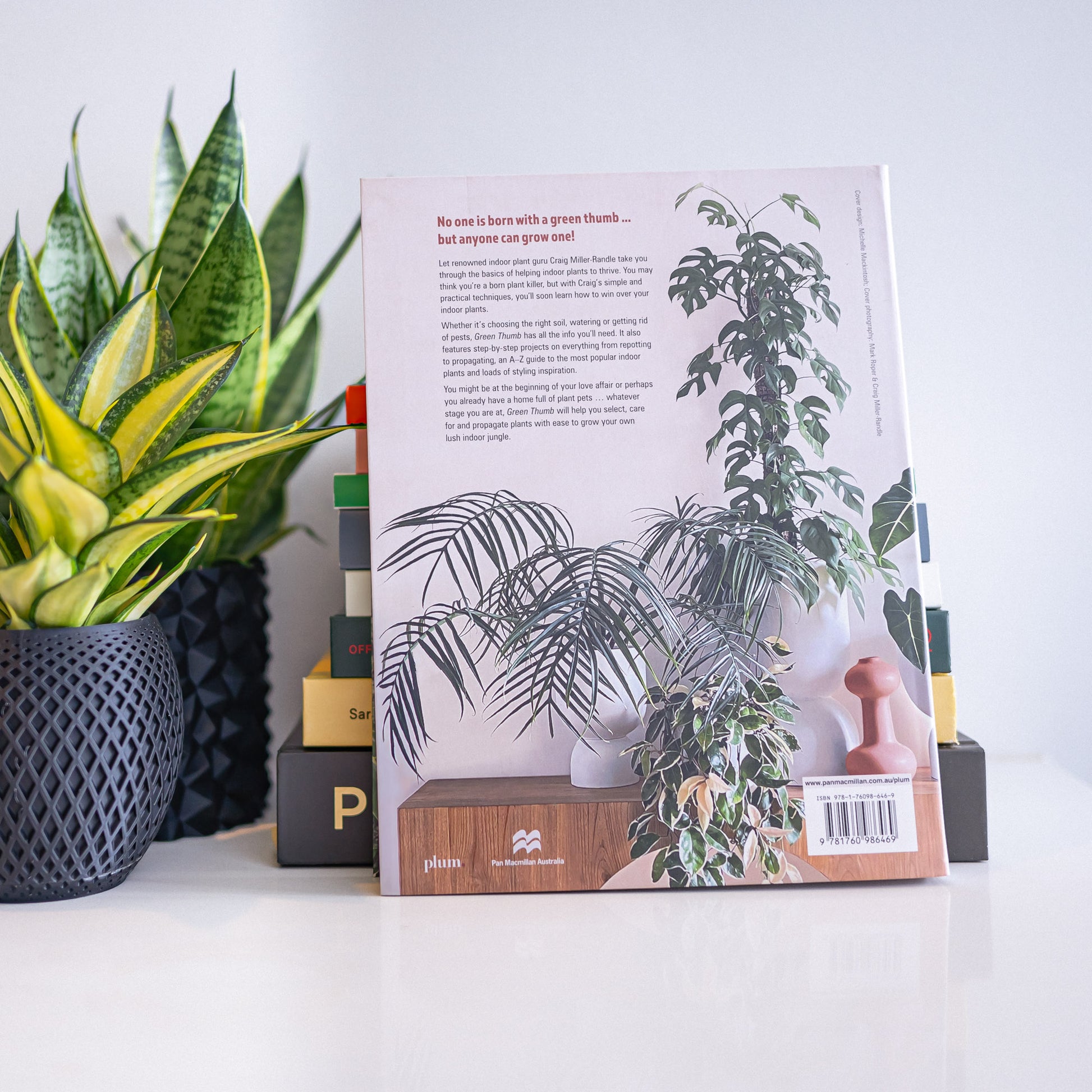 Green Thumb | The Plant Boys