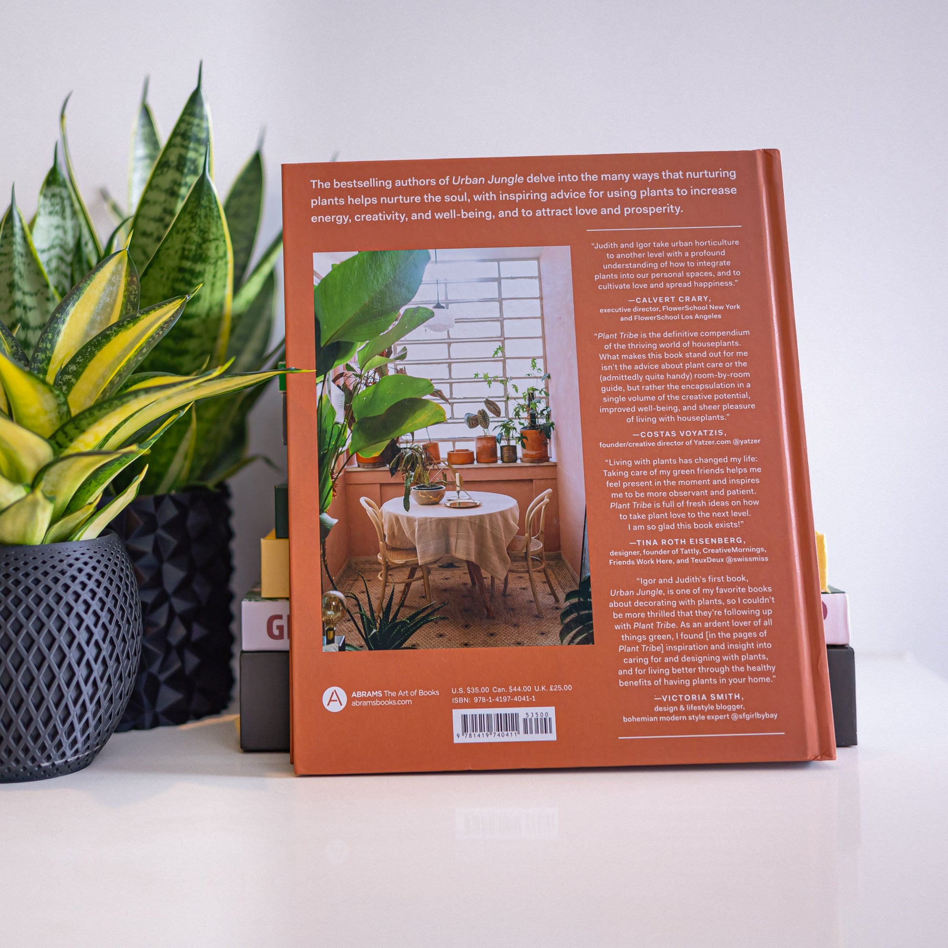 Plant Tribe | The Plant Boys