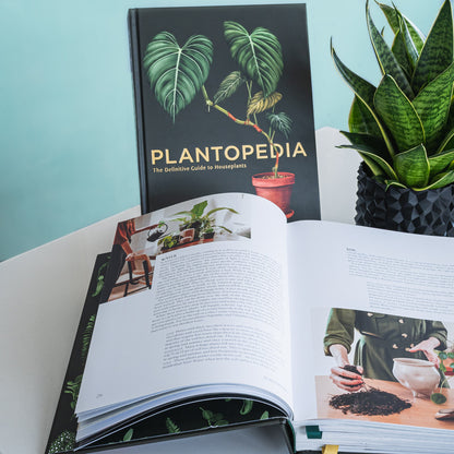 Plantopedia | The Plant Boys