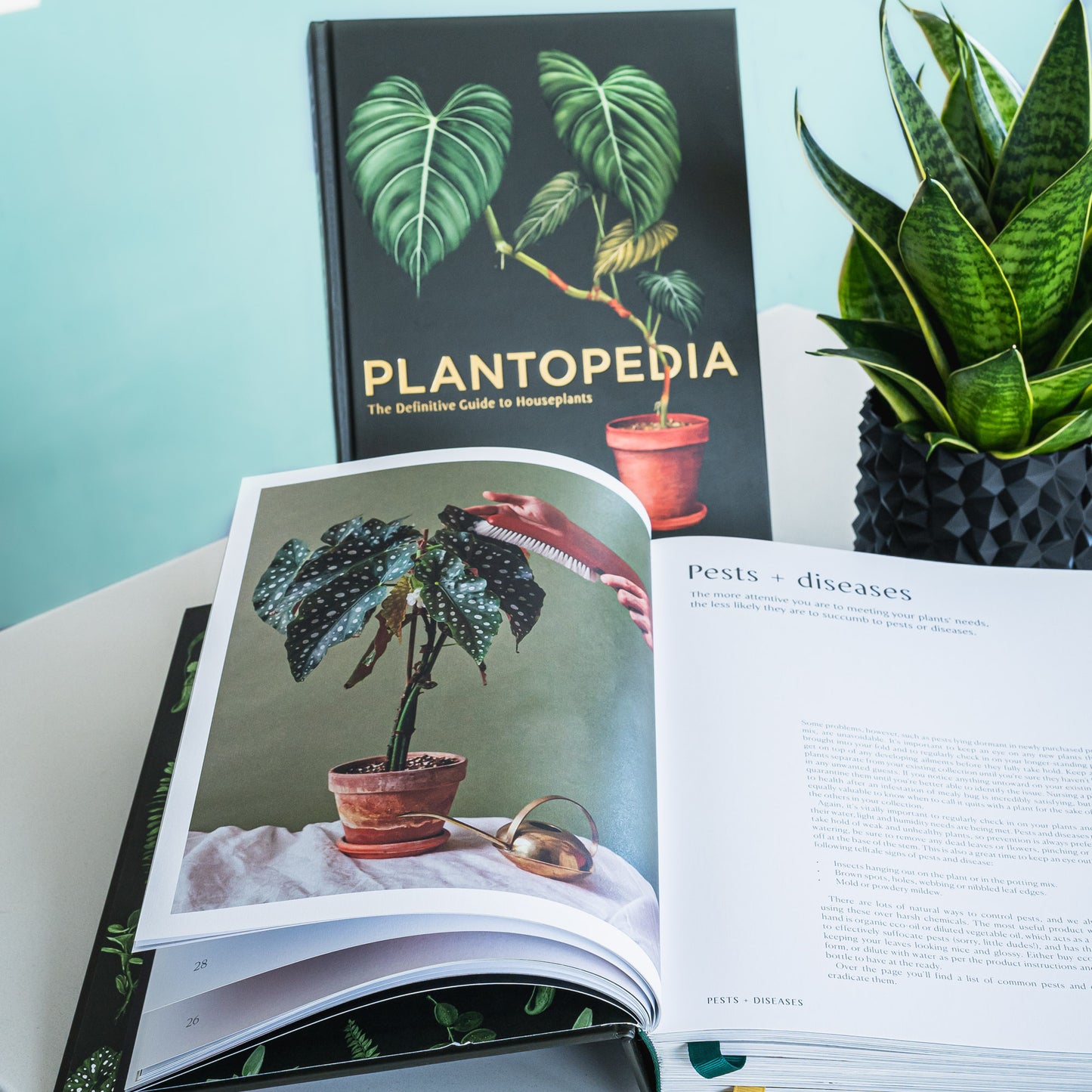 house plants book Plantopedia – The Plant Boys