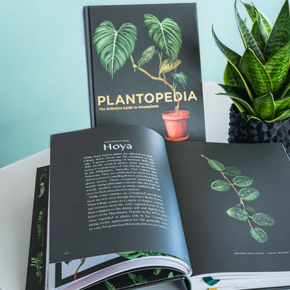 Plantopedia | The Plant Boys