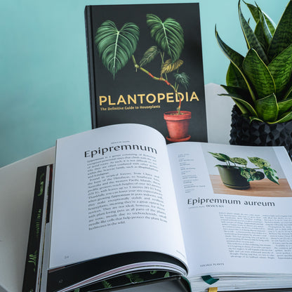 Plantopedia | The Plant Boys