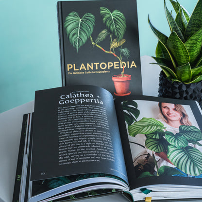 Plantopedia | The Plant Boys