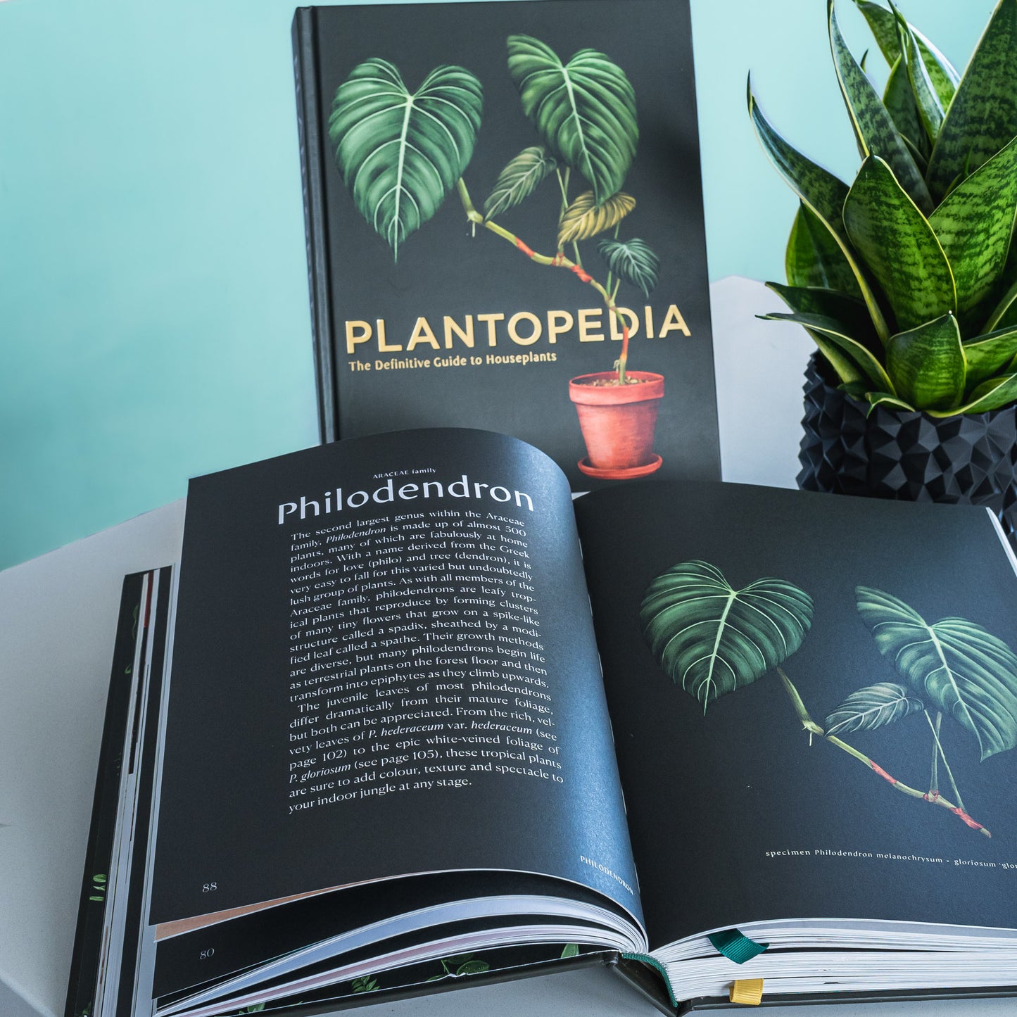 Plantopedia | The Plant Boys