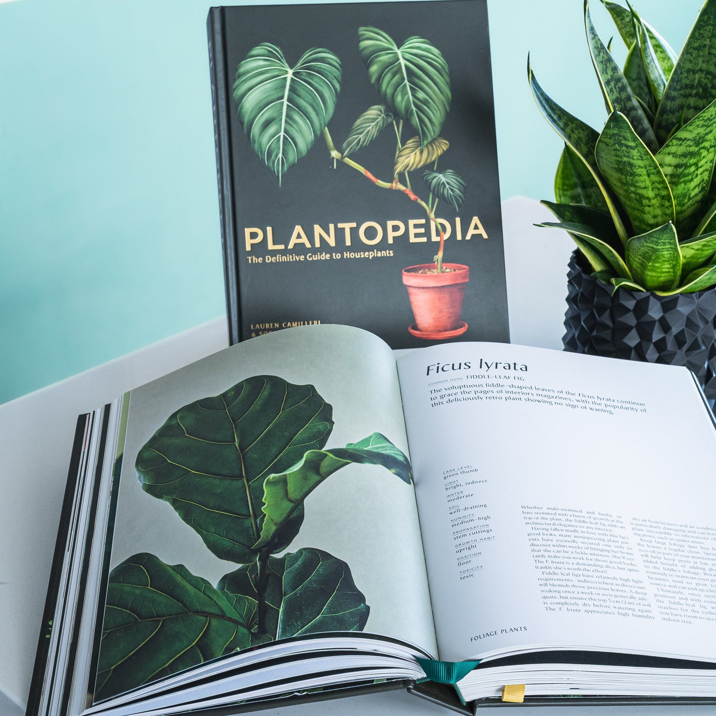 Plantopedia | The Plant Boys