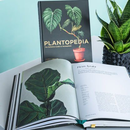 Plantopedia | The Plant Boys