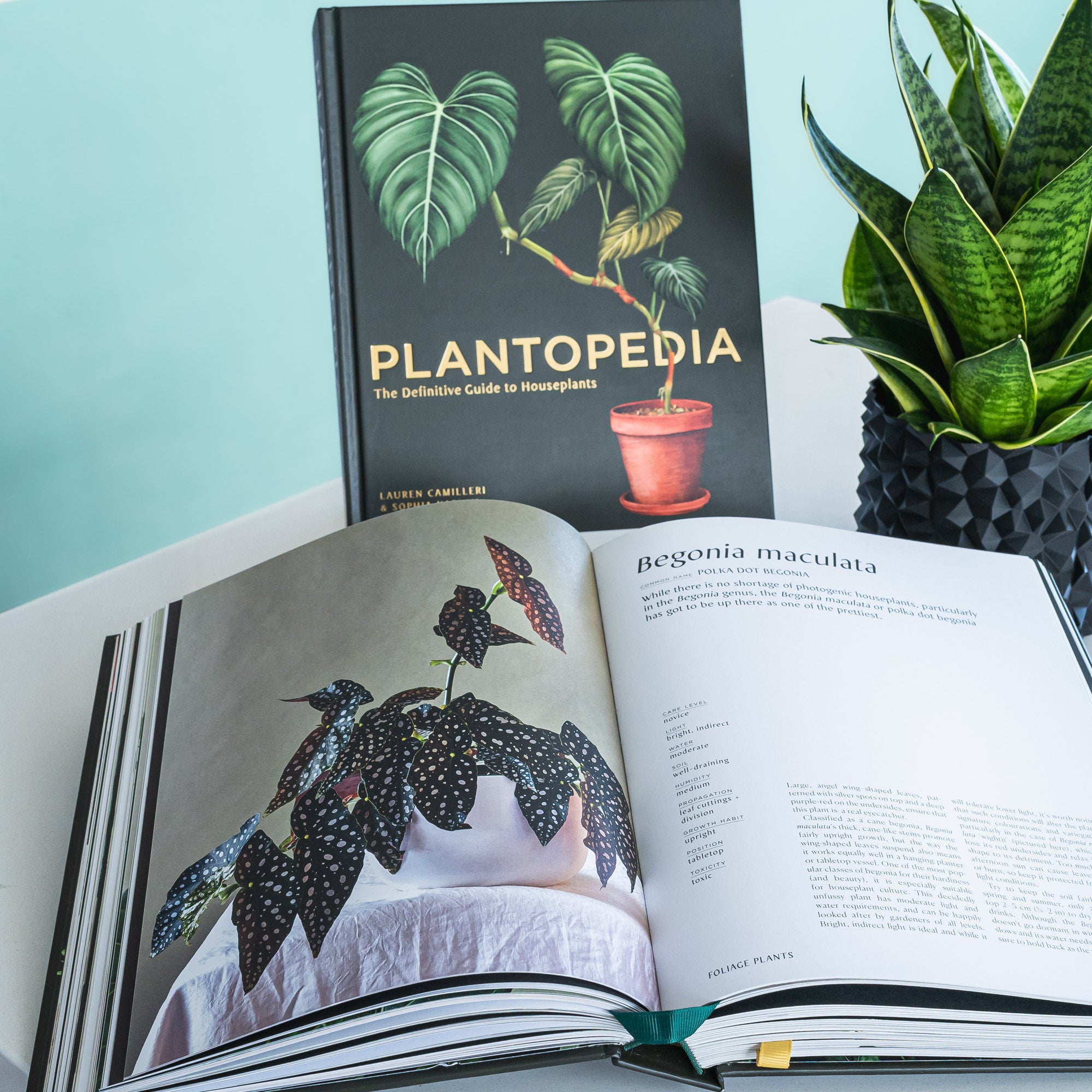 Plantopedia – The Plant Boys