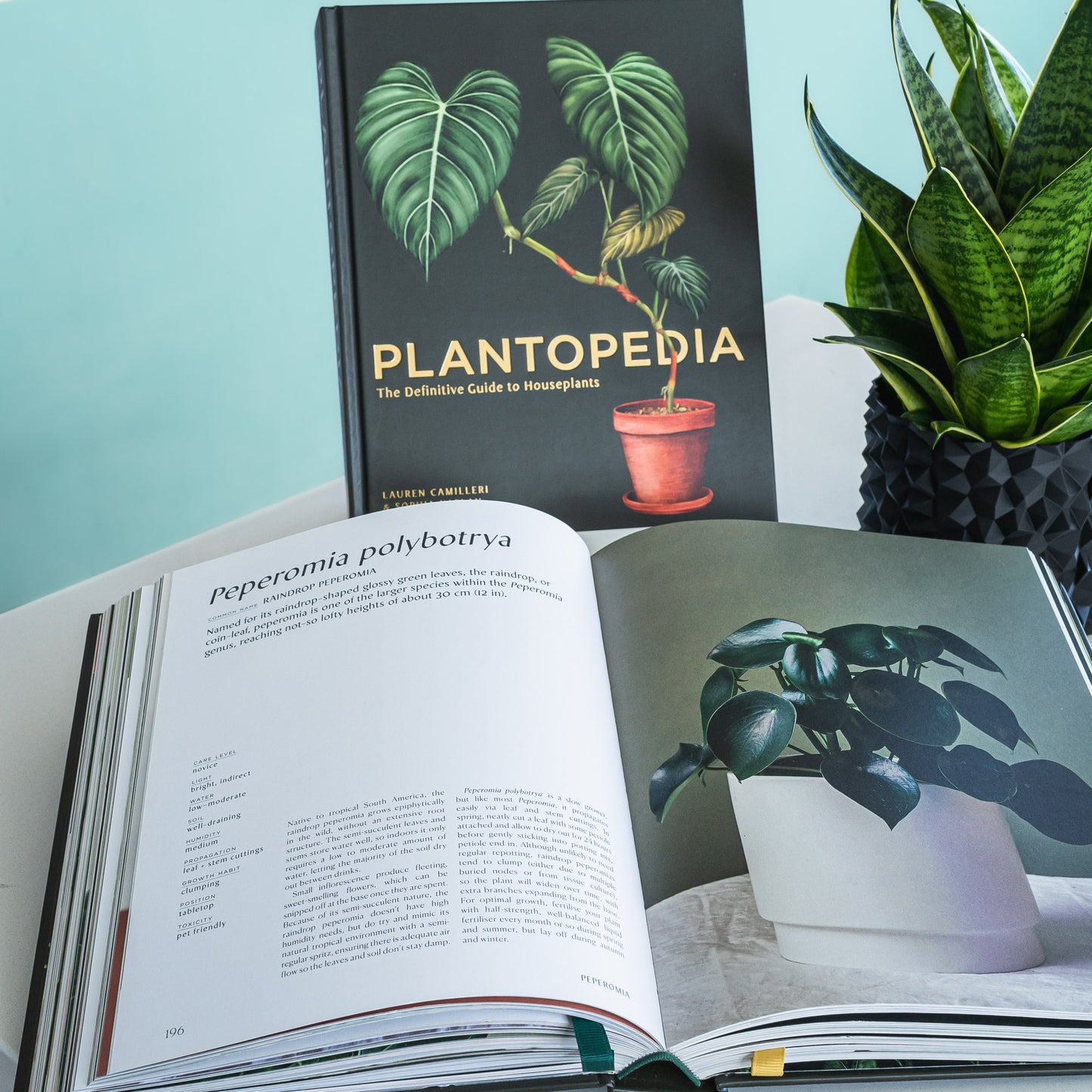 Plantopedia | The Plant Boys