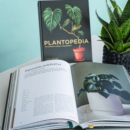 Plantopedia | The Plant Boys
