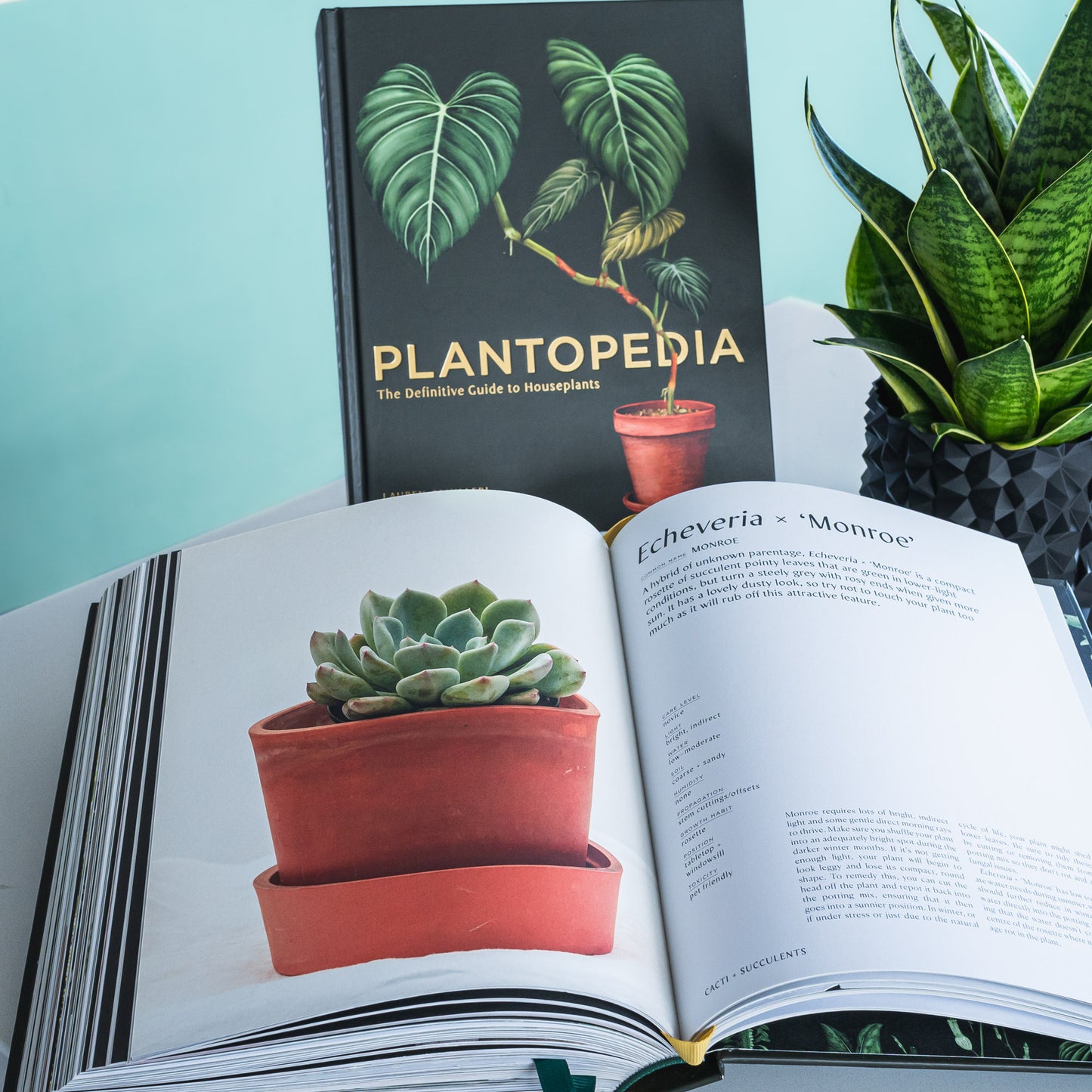 Plantopedia | The Plant Boys