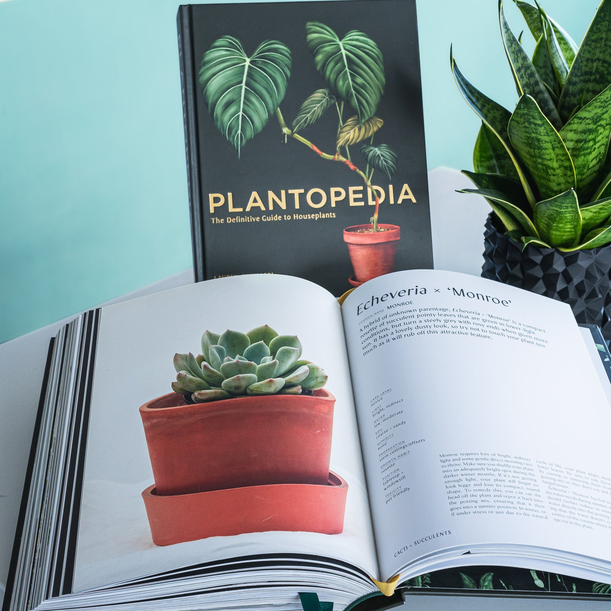 Plantopedia | The Plant Boys
