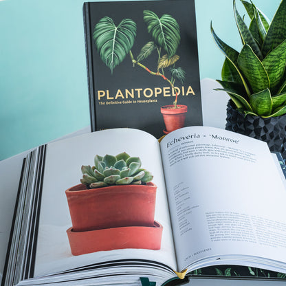 Plantopedia | The Plant Boys