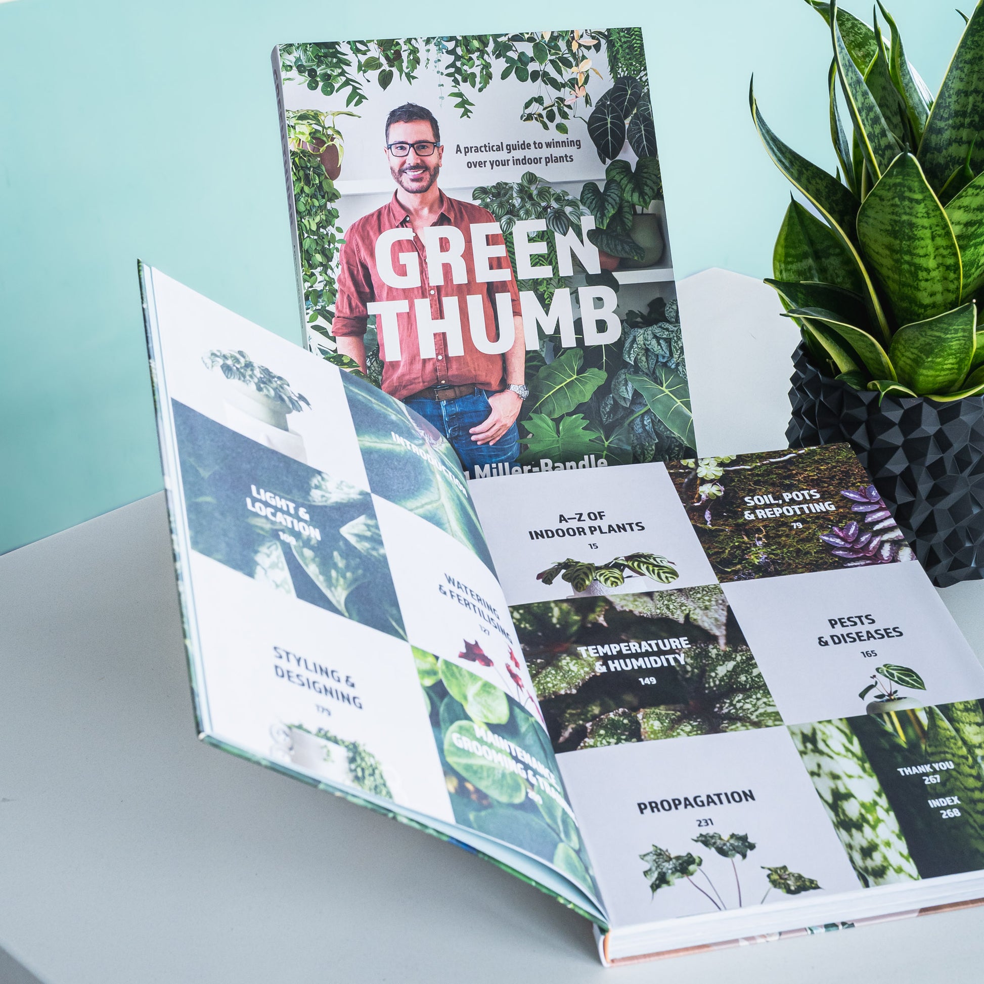 Green Thumb | The Plant Boys