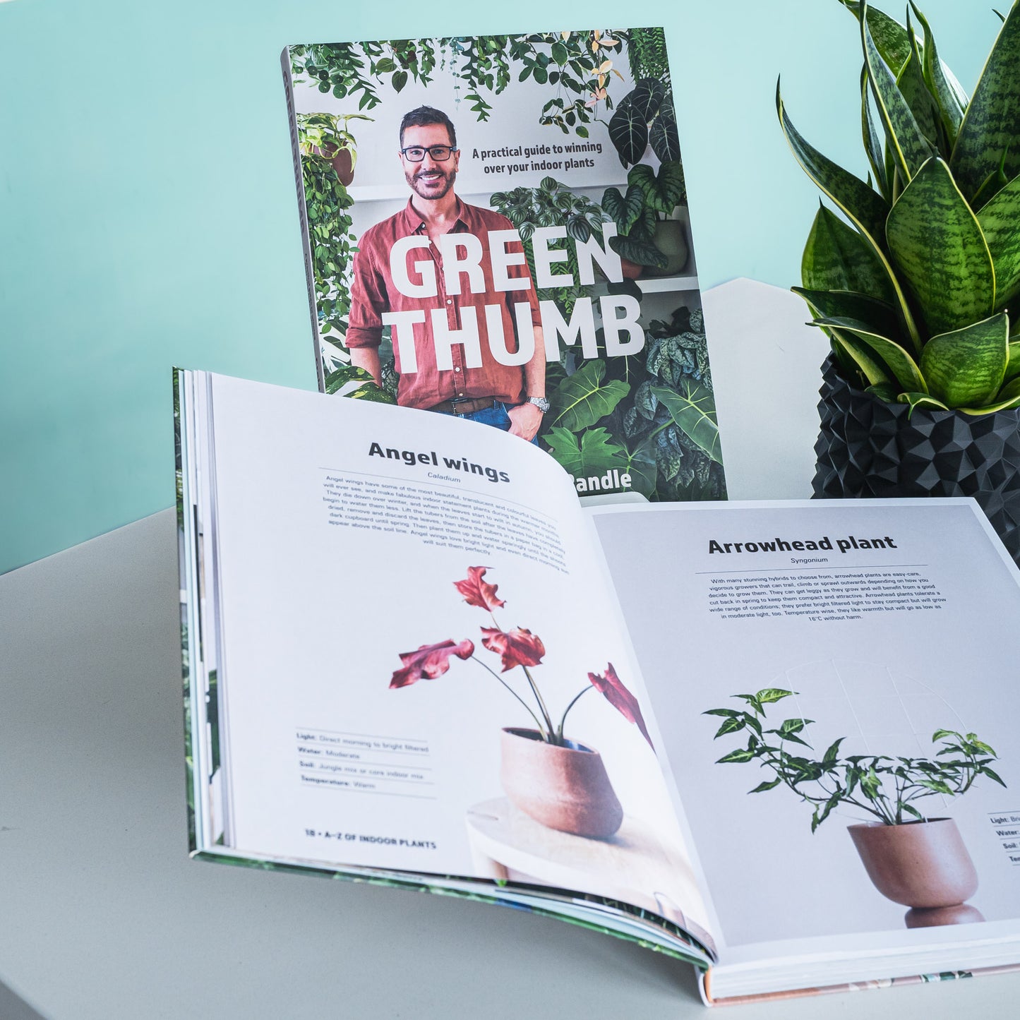 Green Thumb | The Plant Boys