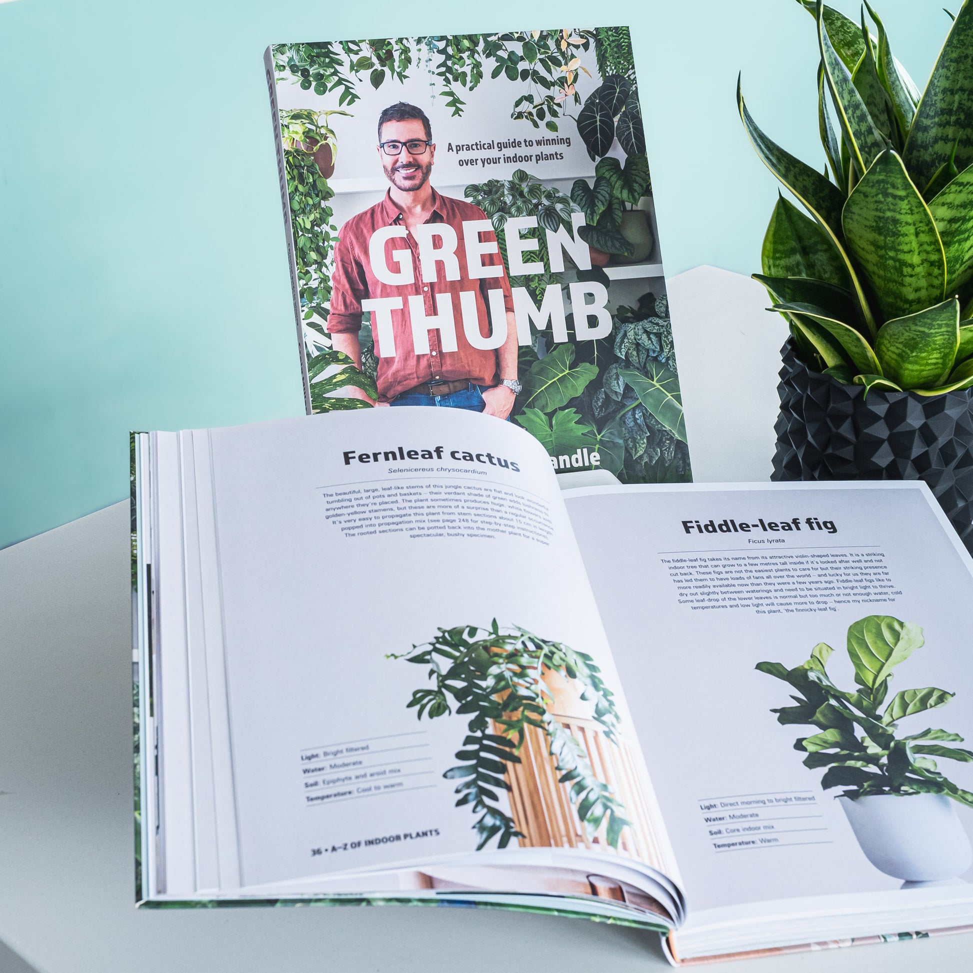 Green Thumb | The Plant Boys