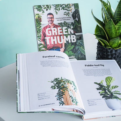 Green Thumb | The Plant Boys