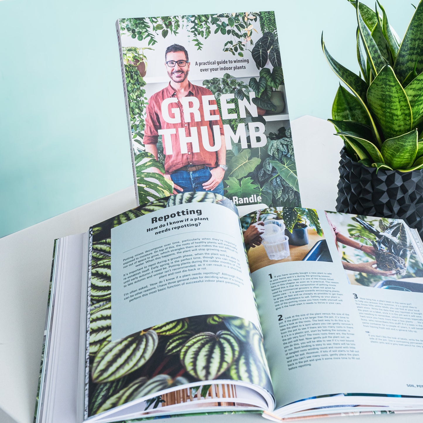 Green Thumb | The Plant Boys