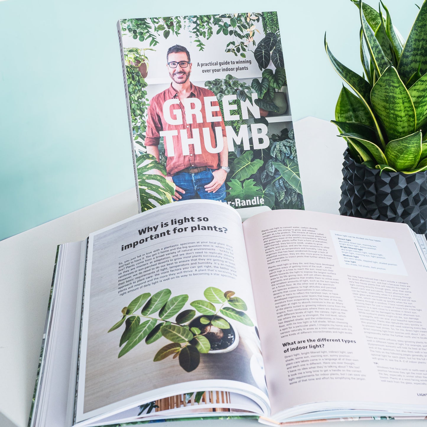 Green Thumb | The Plant Boys