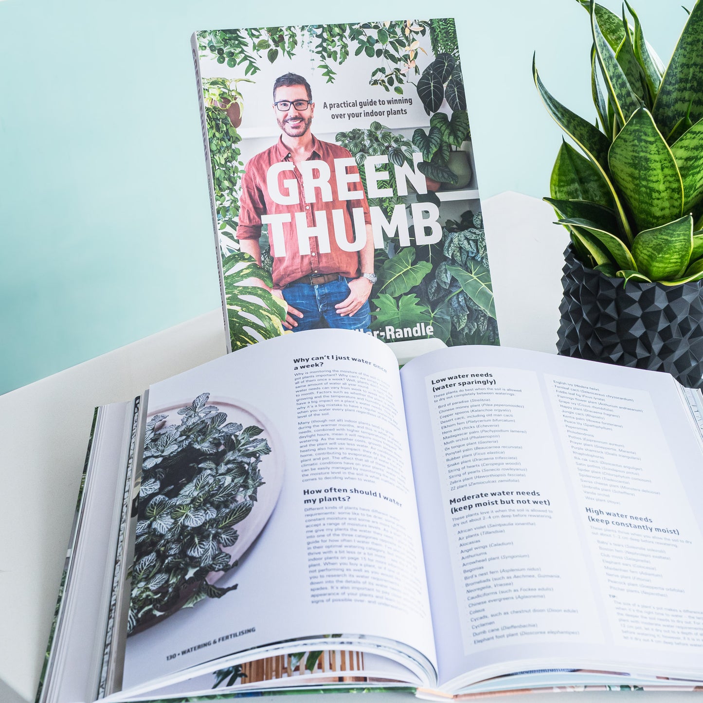 Green Thumb | The Plant Boys
