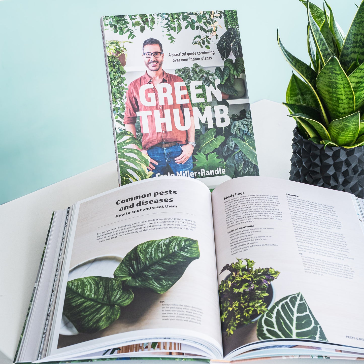 Green Thumb | The Plant Boys