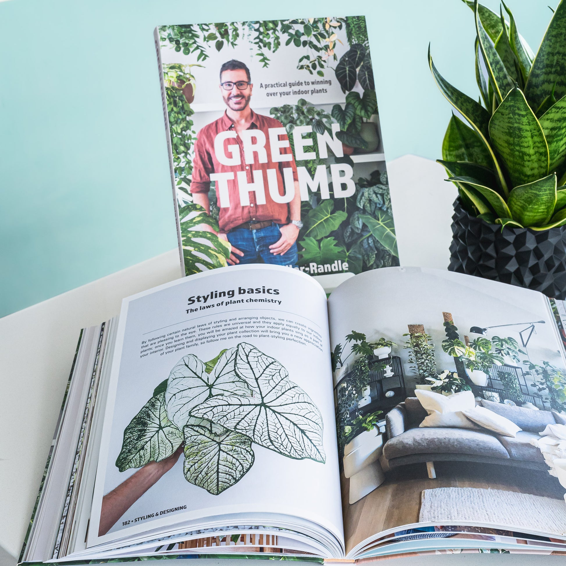 Green Thumb | The Plant Boys