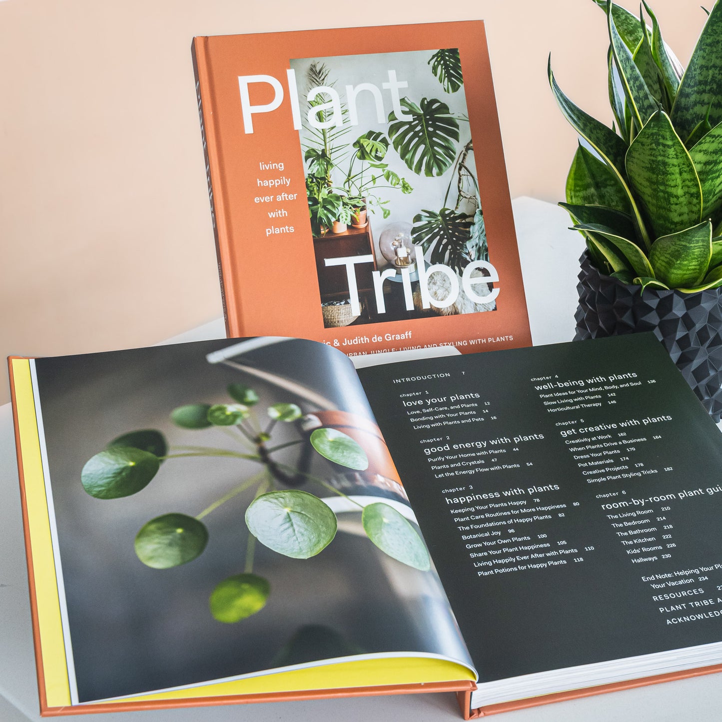 Plant Tribe | The Plant Boys