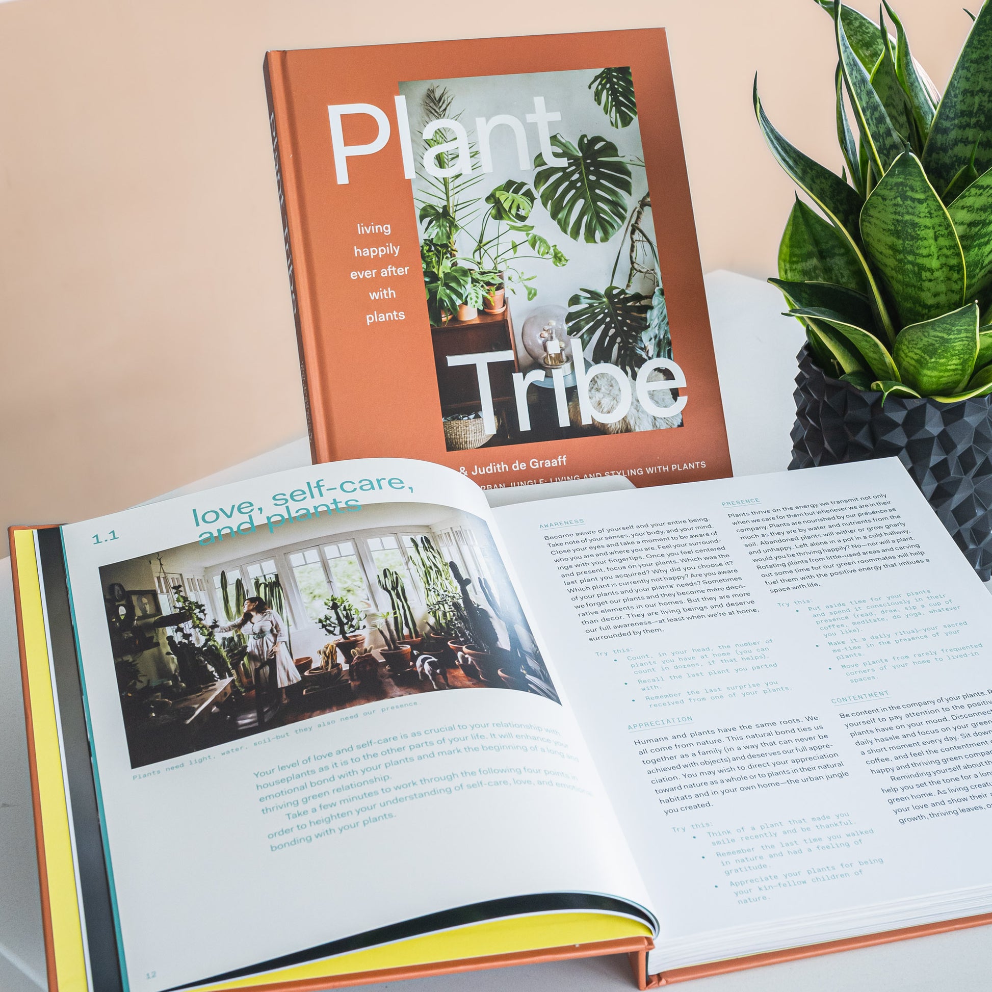 Plant Tribe | The Plant Boys