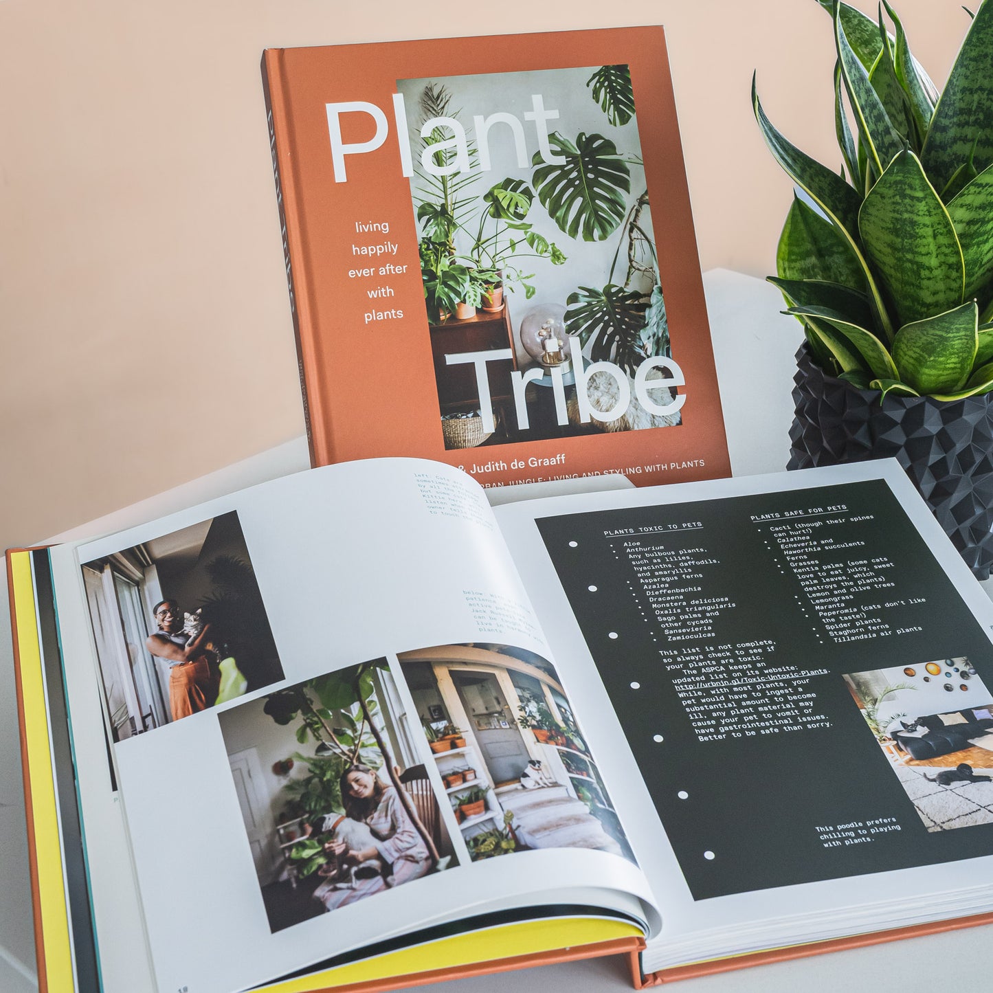 Plant Tribe | The Plant Boys