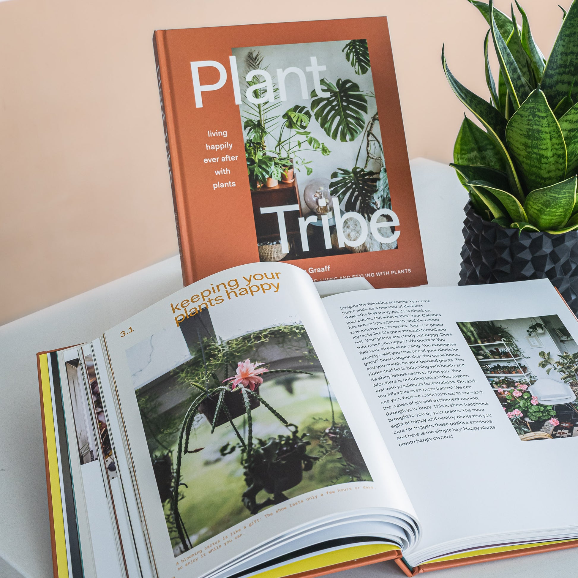 Plant Tribe | The Plant Boys