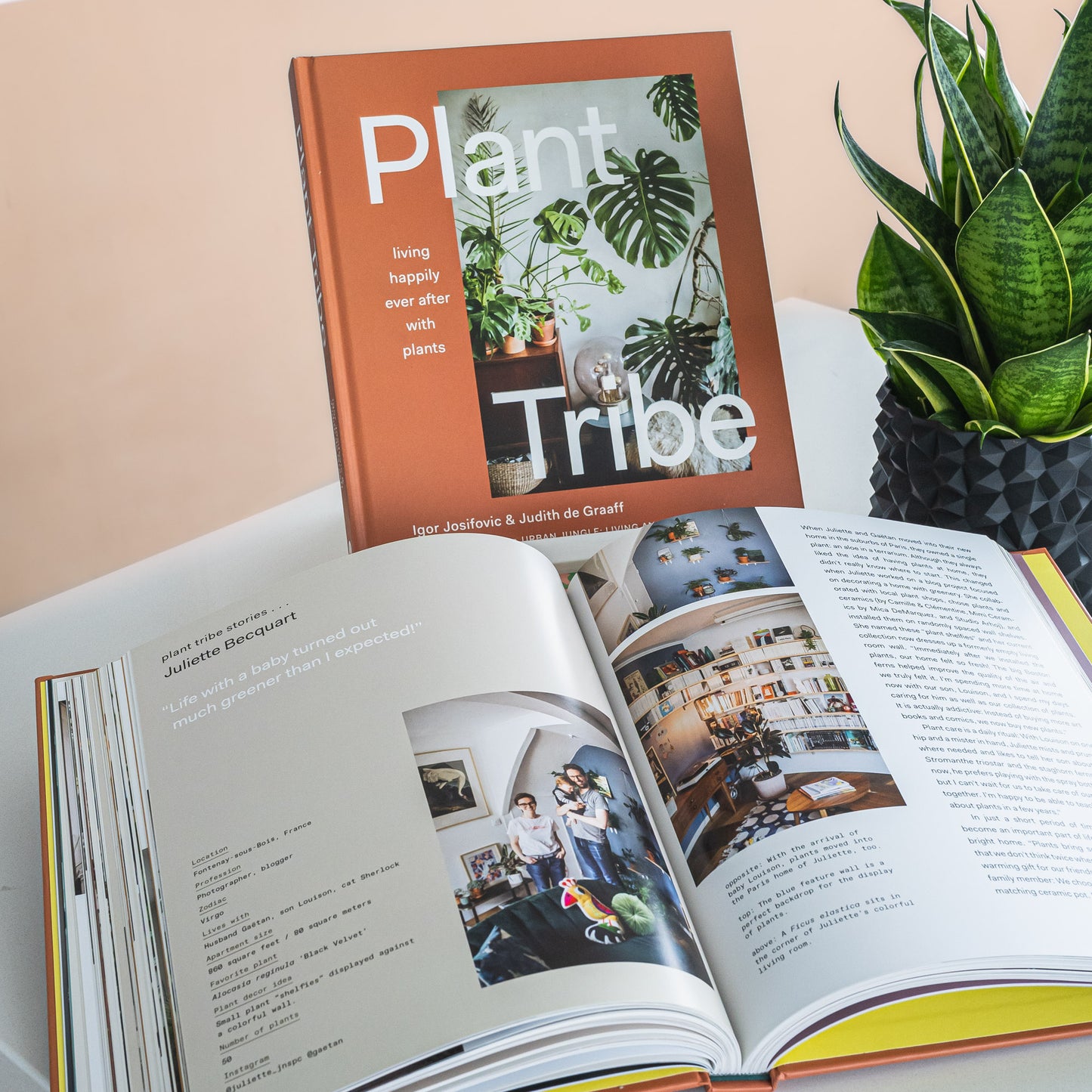 Plant Tribe | The Plant Boys