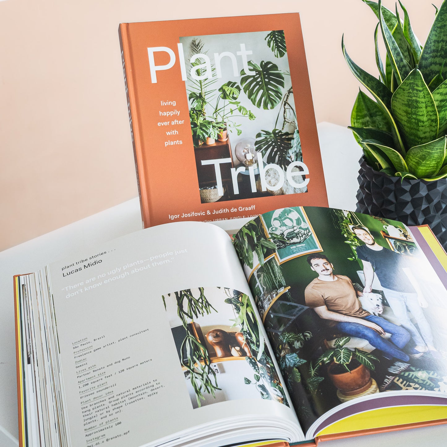 Plant Tribe | The Plant Boys