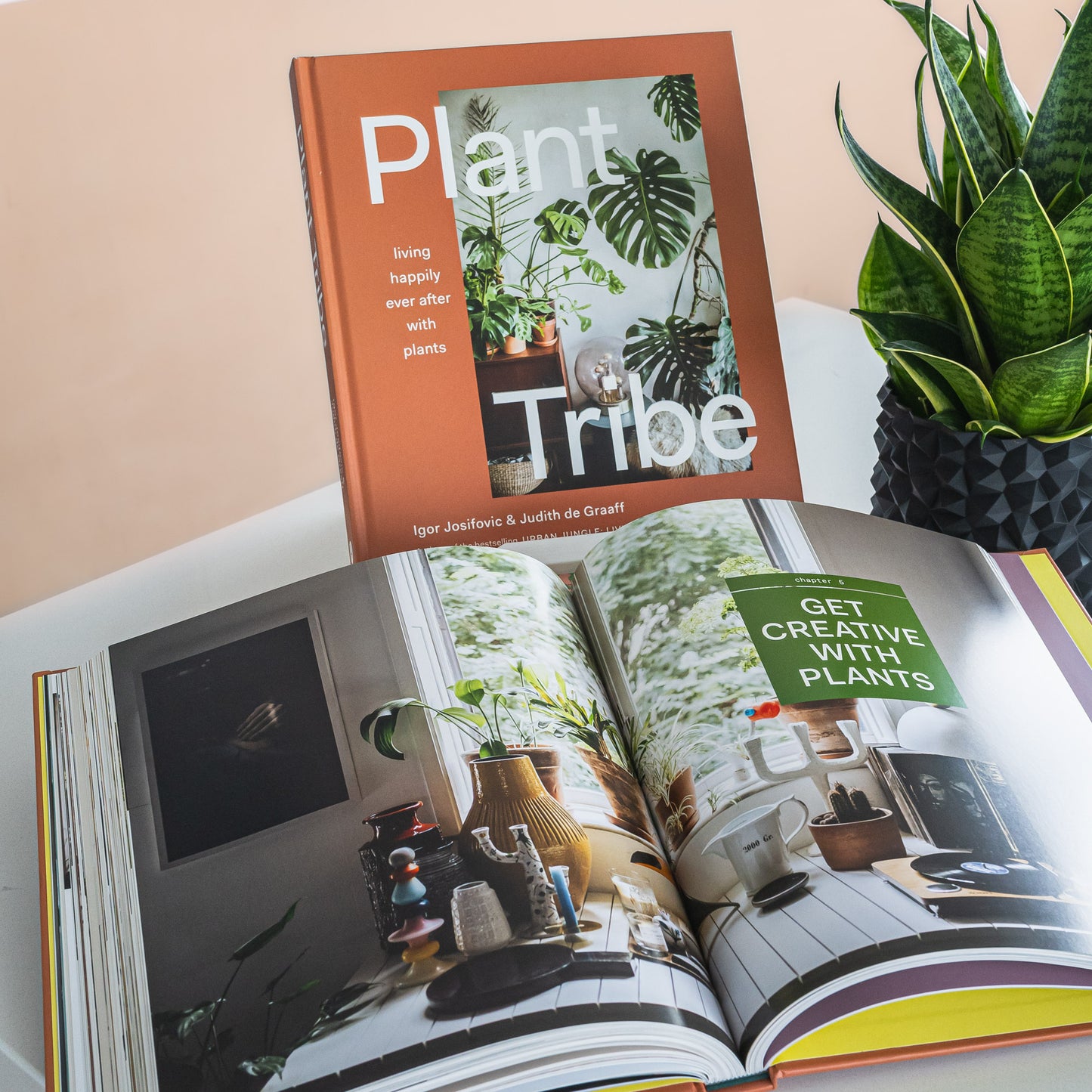 Plant Tribe | The Plant Boys