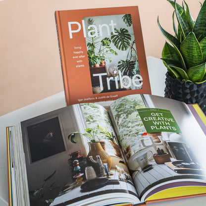 Plant Tribe | The Plant Boys