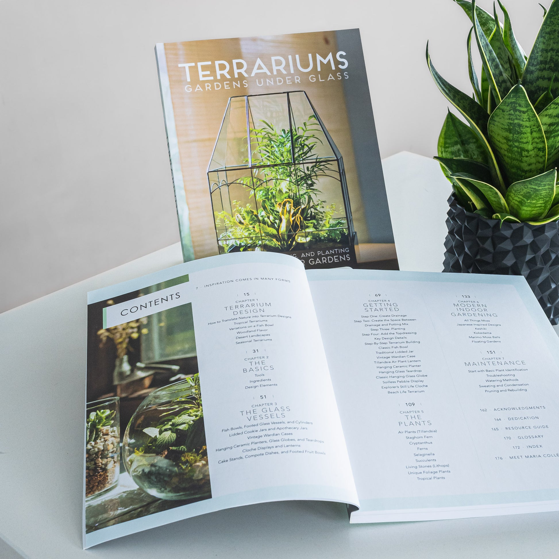 Terrariums: Gardens Under Glass | The Plant Boys