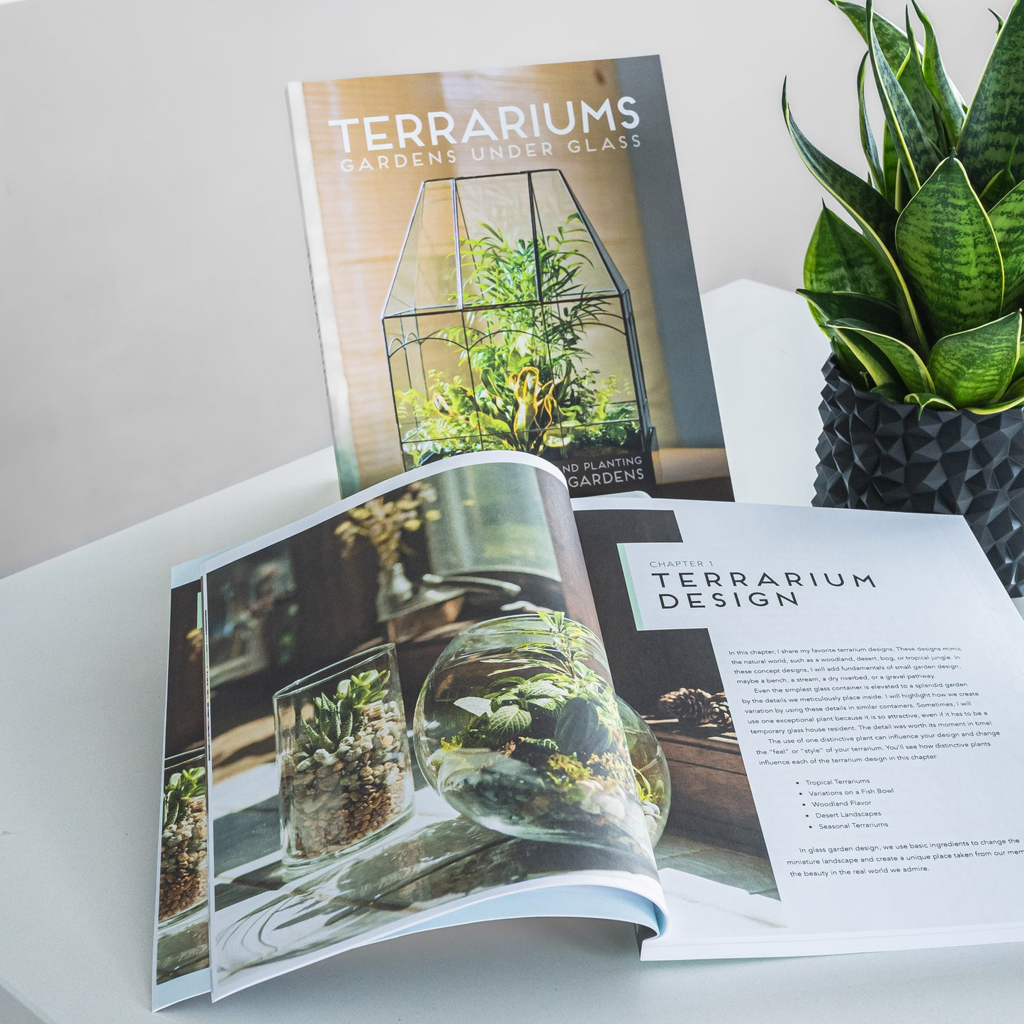 Terrariums: Gardens Under Glass | The Plant Boys