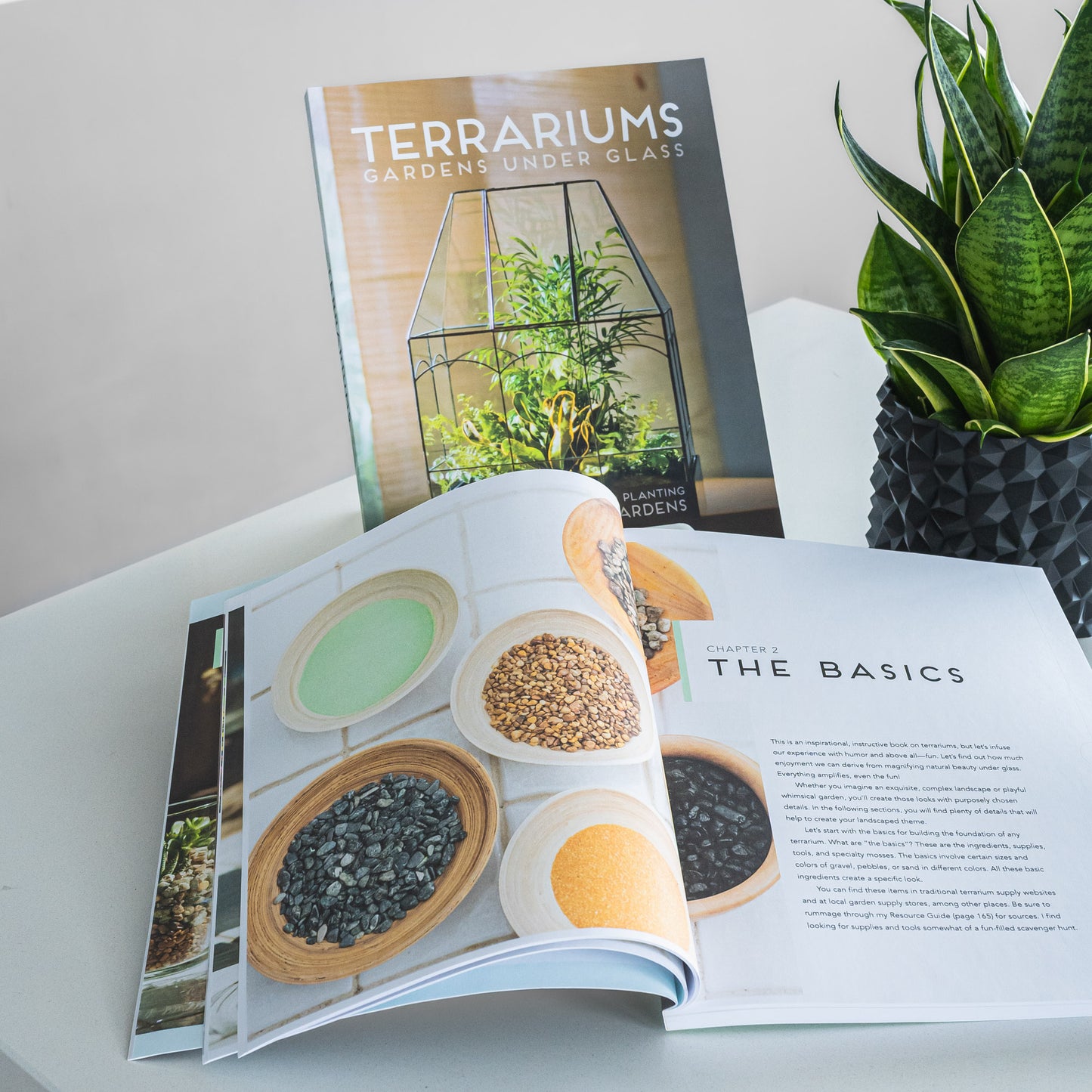 Terrariums: Gardens Under Glass | The Plant Boys