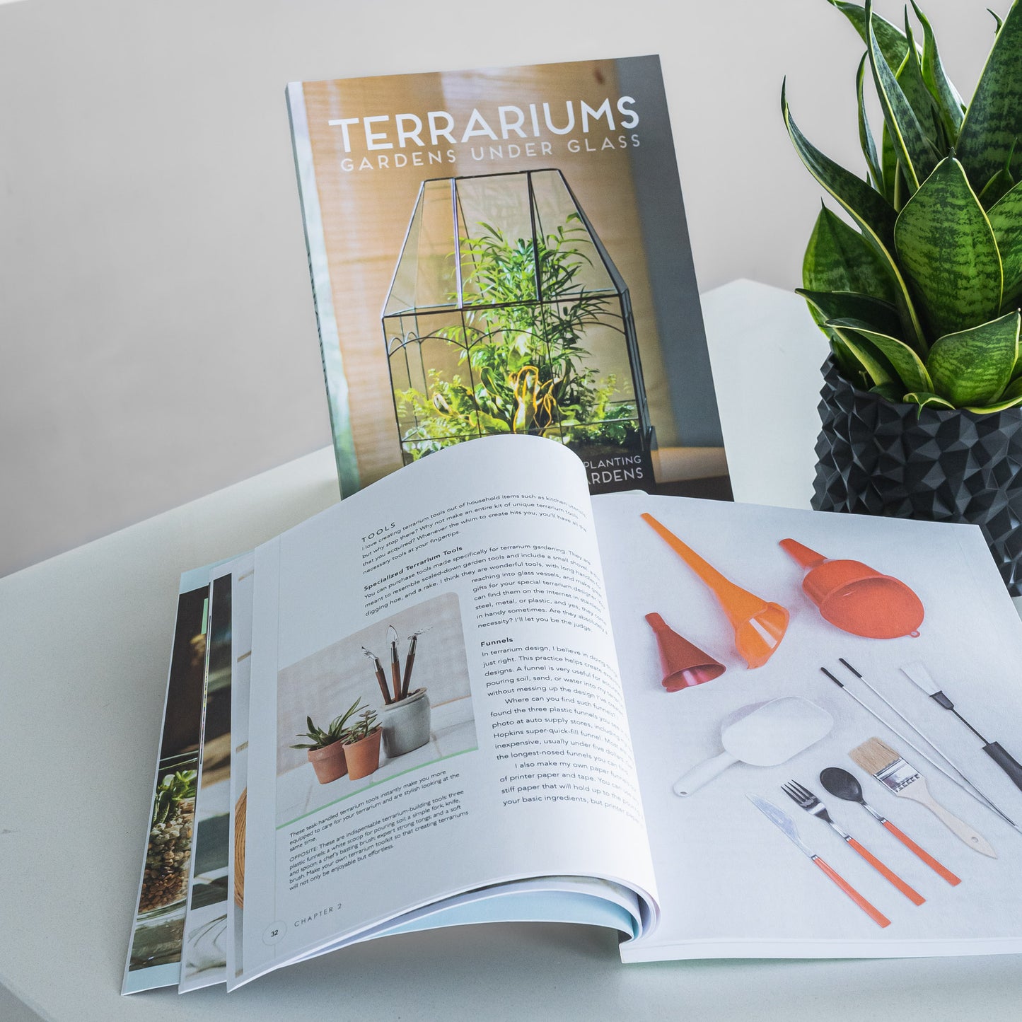 Terrariums: Gardens Under Glass | The Plant Boys