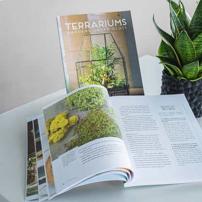 Terrariums: Gardens Under Glass | The Plant Boys