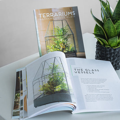 Terrariums: Gardens Under Glass | The Plant Boys