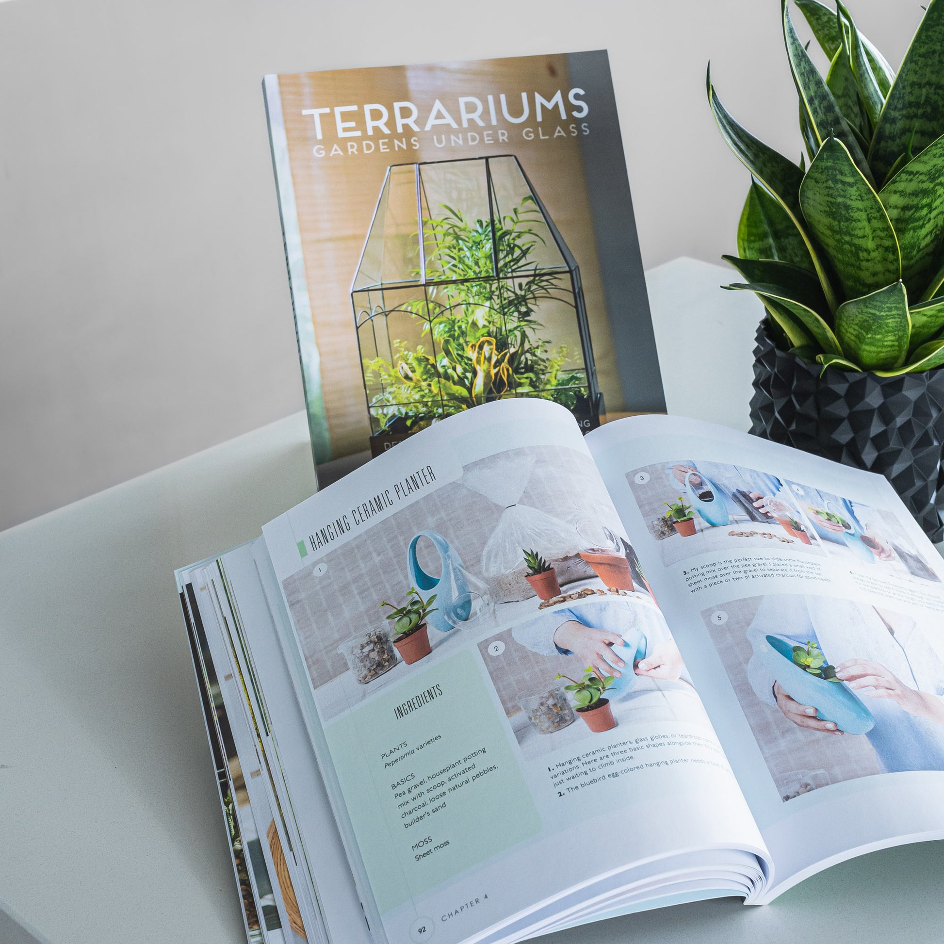 Terrariums: Gardens Under Glass | The Plant Boys