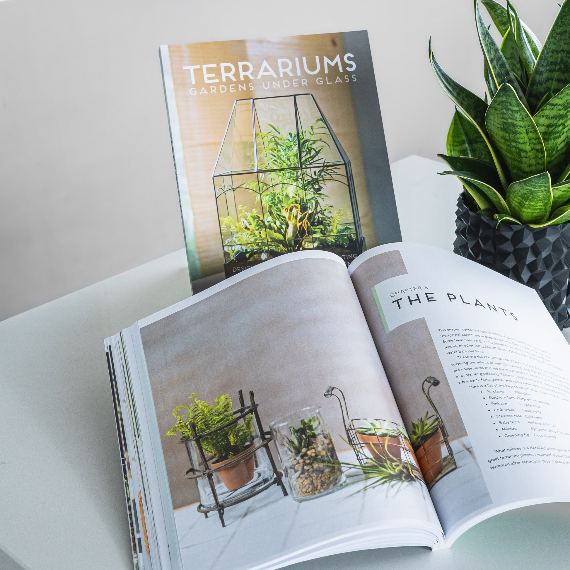 Terrariums: Gardens Under Glass | The Plant Boys