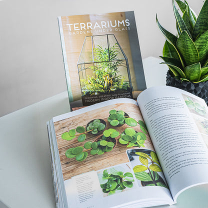 Terrariums: Gardens Under Glass | The Plant Boys