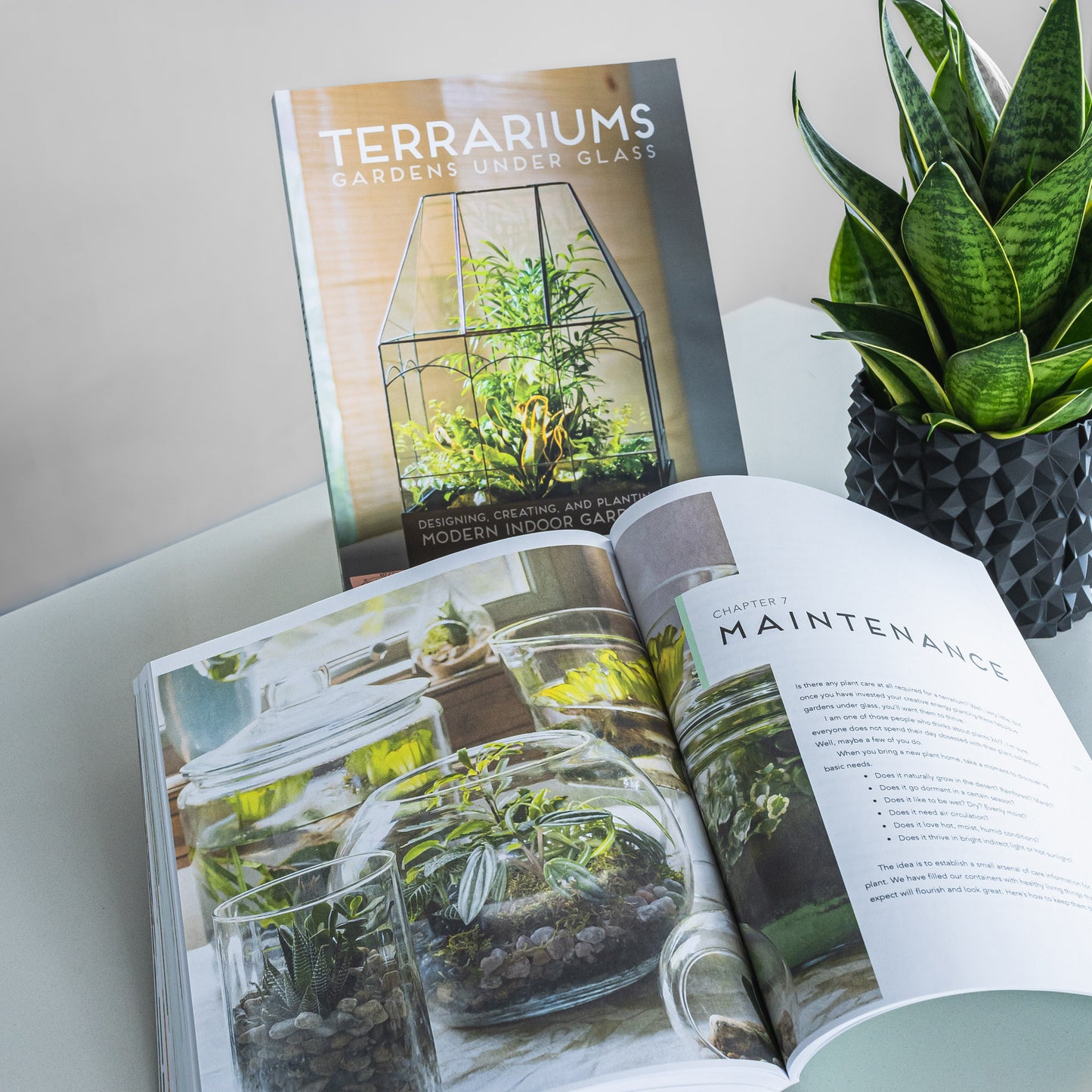 Terrariums: Gardens Under Glass | The Plant Boys