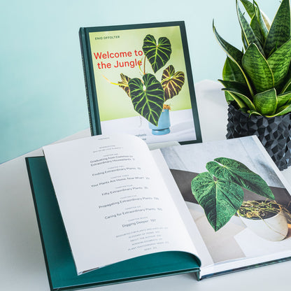 Welcome to the Jungle | The Plant Boys