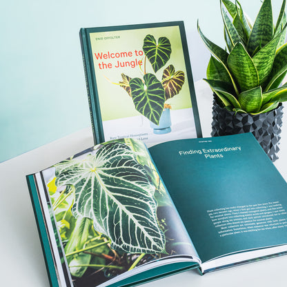 Welcome to the Jungle | The Plant Boys