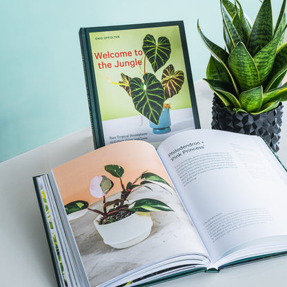 Welcome to the Jungle | The Plant Boys